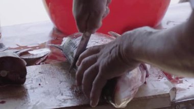 Aşçı dilimlenmiş balık hazırlıyor..