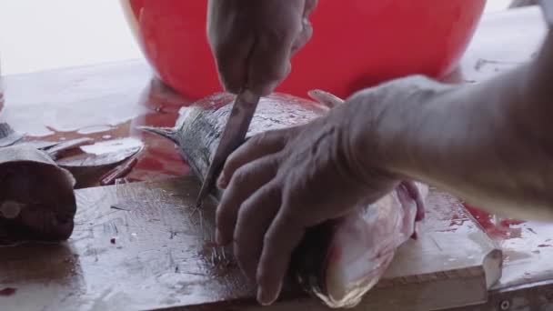 Cocinar Está Preparando Pescado Rodajas — Vídeo de stock