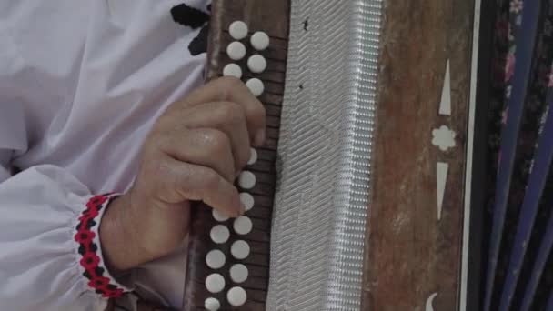 Man Playing Old Russian Accordion Stock Footage