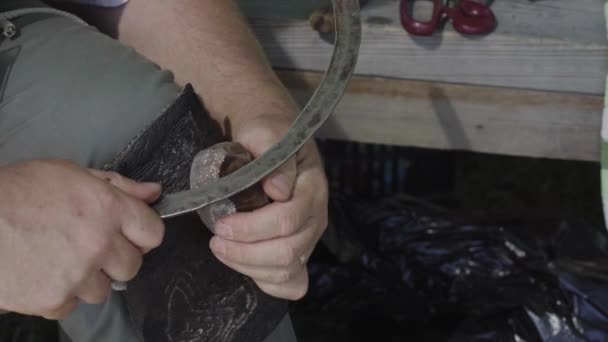 Hungarian Craftsman Preparing Tinder Mushroom Creating Object Video Clip
