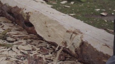 Oduncu büyük bir baltayla odun kesiyor..