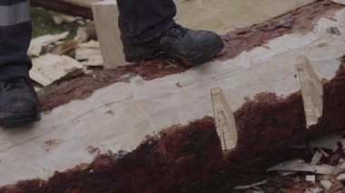 Oduncu büyük bir ağaç kütüğünü baltayla kesiyor..