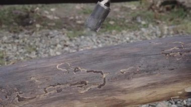 İşçi ahşap bir yüzeyi çürüğe karşı korumak için yakıyor..