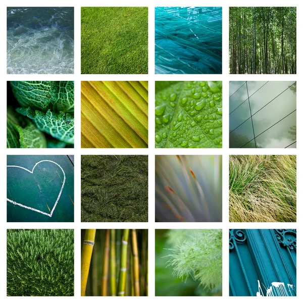 Collection Same Color Images — Stock Photo, Image