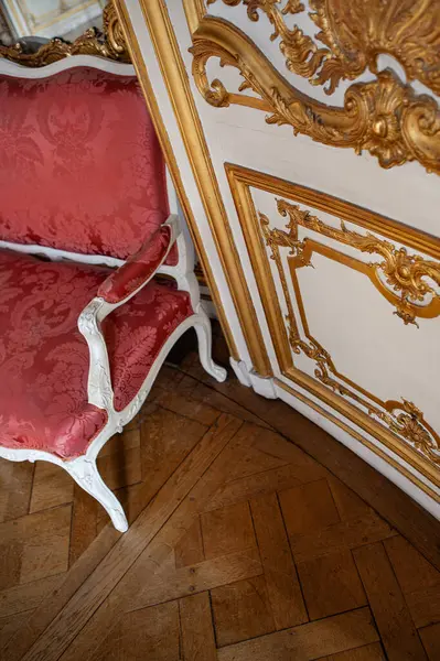 Stylish Living Room Parisian Mansion — Stock Photo, Image
