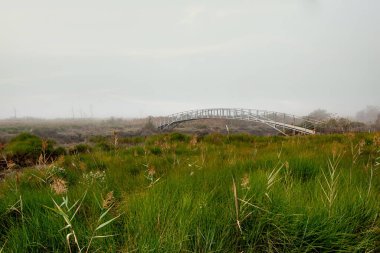 Sazlık üzerinde ahşap köprü