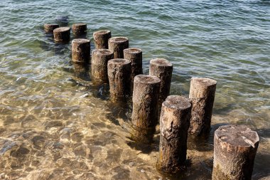 İstiridye çiftliği dubası için tahta direkler