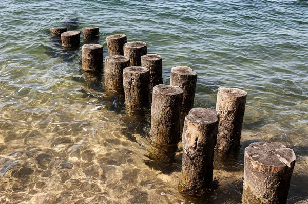 İstiridye çiftliği dubası için tahta direkler