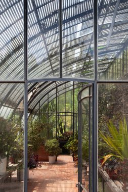 Eski verandada yeşil bitkiler