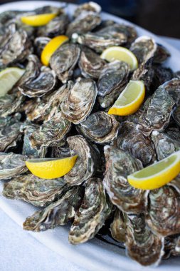 Beyaz tepside istiridye