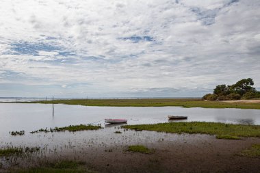 Arcachon Körfezi 'nin alçak gelgitte manzarası