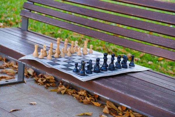 Old People Play Chess Park Lviv High Quality Photo — Stock Photo, Image