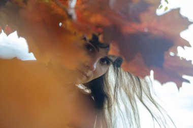 Sonbahar sarısı yapraklı güzel genç kız. Yüksek kalite fotoğraf