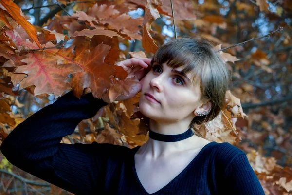 stock image Beautiful young girl in autumn yellow leaves. High quality photo