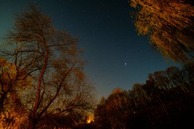 Ağaçlı nehir kıyısı ve kırmızı parıltı ve yıldızlı gökyüzü. Yüksek kalite fotoğraf