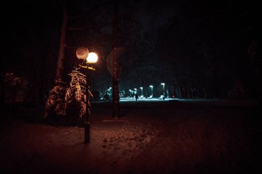 Geceleri karla kaplı bir parkta sokak lambası parlıyor. Yüksek kalite fotoğraf