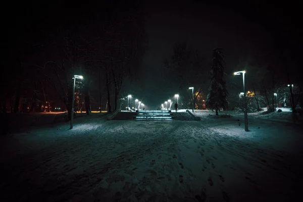 Street Lamp Shines Snow Covered Park Night High Quality Photo — Stock Photo, Image