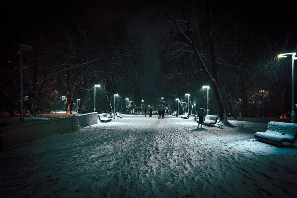 Street lamp shines in a snow-covered park at night. High quality photo