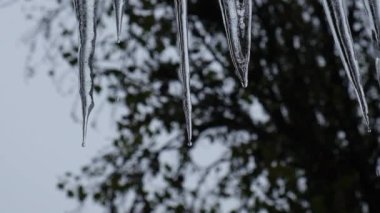İlkbaharda buz saçağından su damlıyor, yavaş çekim videosu. Yüksek kaliteli FullHD görüntüler