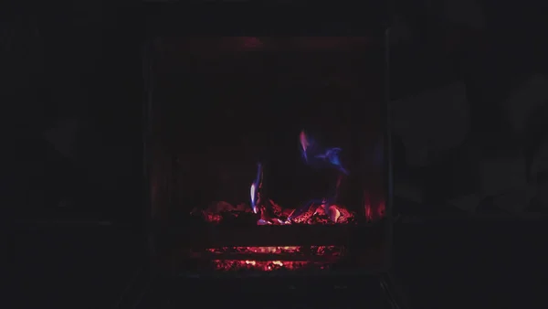 Tűz Egy Lila Törzzsel Kályhában Éjszaka Kiváló Minőségű Fénykép — Stock Fotó