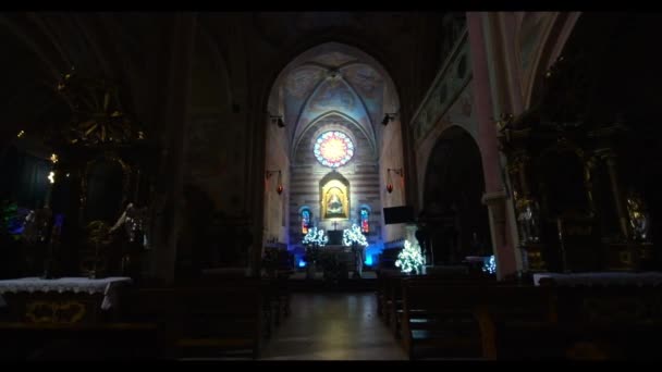 Камера Медленно Приближается Алтарю Украшенному Елками Старом Католическом Соборе Высококачественные — стоковое видео
