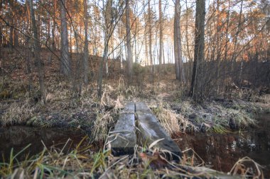 Nehrin üzerindeki köprü, uzak orman, doğan güneş. Yüksek kalite fotoğraf