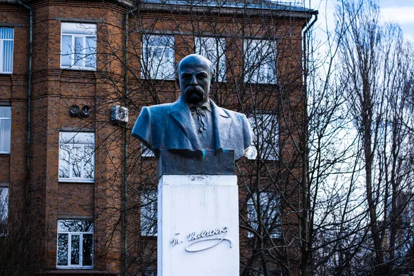 ウクライナのヴィニツァでブロンズでタラス シェフチェンコスの詩の胸像 高品質の写真 — ストック写真