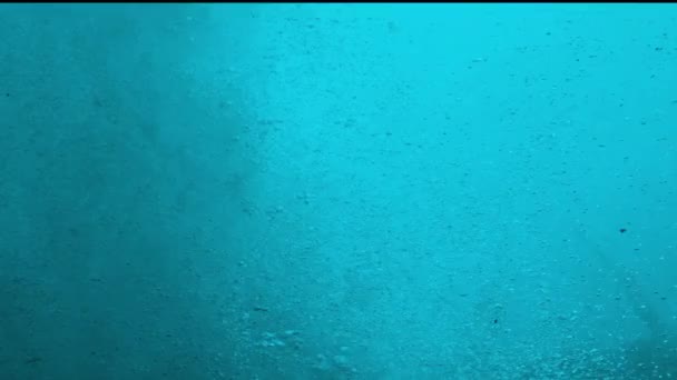 Luchtbellen Rijzen Uit Bodem Van Blauwe Oceaan Garnion Hoge Kwaliteit — Stockvideo