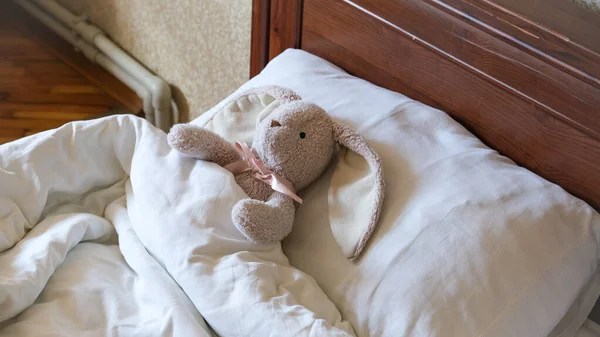 Fluffy toy bunny lying on pillow, cute photo. High quality photo