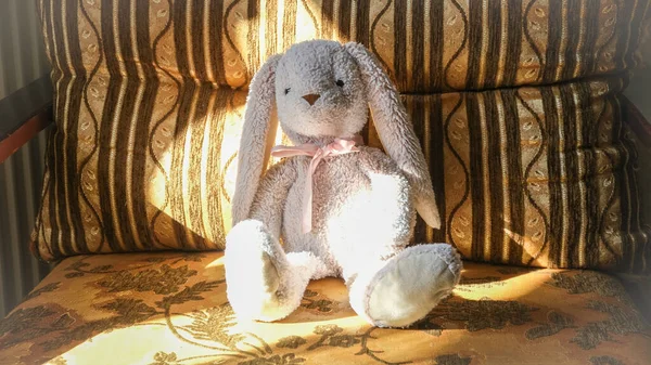 Fluffy toy bunny sitting on a chair in the rays of the morning sun. High quality photo
