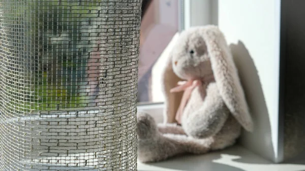 stock image Baby cute toy bunny sitting on windowsill, baby photo. High quality photo