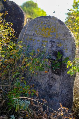 Ukrayna 'nın Yampil şehrinde çimlerle kaplanmış eski bir Yahudi mezarı. Yüksek kalite fotoğraf