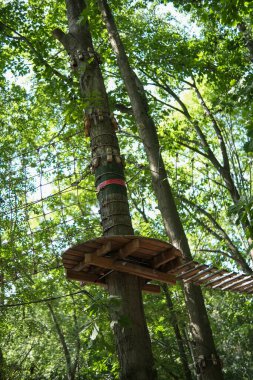 Ağaç merdiveni, teleferik, ağaçlara ip parkı. Yüksek kalite fotoğraf