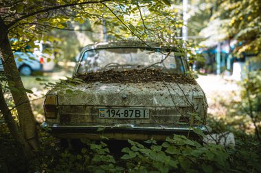 Ormanda, yıpranmış bir araç park halindedir. Düşmüş yapraklardan oluşan bir battaniyenin altına saklanır ve doğal ortamına karışır.