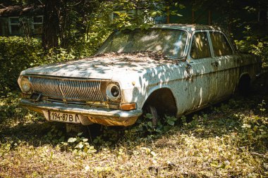 Doğada ihmal edilmiş, pas kaplı, terk edilmiş bir eyalette yaşını ve güzelliğini gözler önüne seren klasik bir araba.