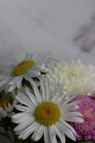 Yeşil çimenlerin üzerinde beyaz çiçekler.