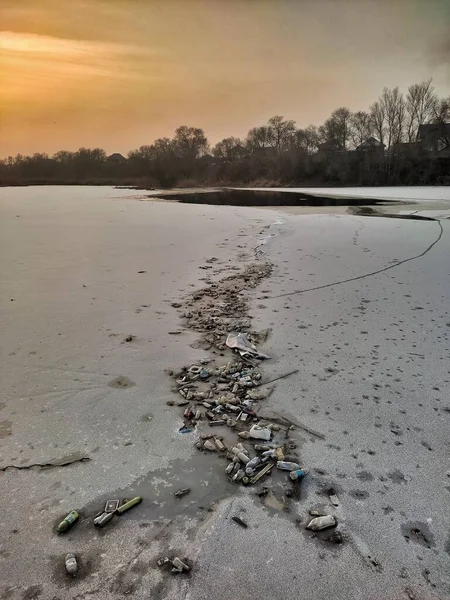 Gölde buzlu küçük bir kuş.