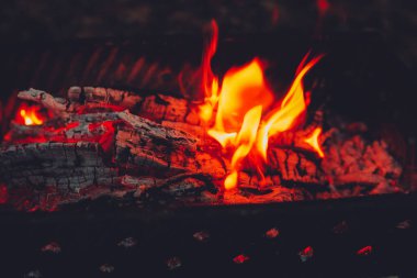 Ormanda yakacak odunları olan güzel şenlik ateşi. Metin için boşluk