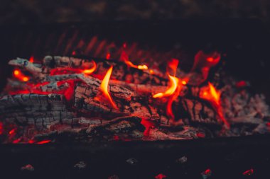 Ormanda yakacak odunları olan güzel şenlik ateşi. Metin için boşluk