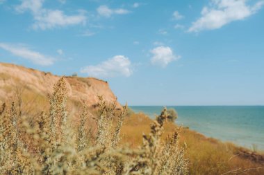 Deniz koyunun, kumsalın, sahil tepelerinin ve kayaların olduğu muhteşem bir manzara. Deniz kenarına yolculuk.