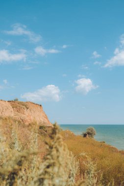 Deniz koyunun, kumsalın, sahil tepelerinin ve kayaların olduğu muhteşem bir manzara. Deniz kenarına yolculuk.