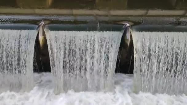 Two Doves Drinking Water Fountain Waterfall — Stok video