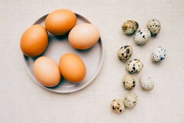 Paskalya yumurtaları. Tavuk ve bıldırcın yumurtası Katolik ve Ortodoks bayramı