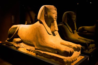 Torino, İtalya - 21 Haziran 2022: Mısır Torino Müzesi 'nde mumyalar, eserler ve Mısır eserleri sergisi.