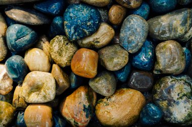 Canlı, pürüzsüz, cilalanmış nehir taşlarından oluşan bir çeşitlilik. Toprak renkleri ve dokuların doğal dizilimini sergiliyorlar..