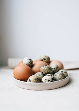 Beyaz bir tabakta bıldırcın ve tavuk yumurtası karışımı bulunur. Kumaş bir yüzeye yerleştirilir. Yumuşak doğal ışık, dingin bir dokunuş ekler. Benekli bıldırcın yumurtaları, tavuk yumurtalarının pürüzsüz yüzeyiyle tezat oluşturur..