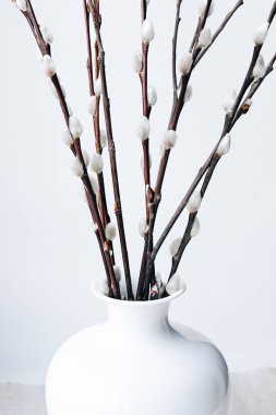 Elegant interior design decor with soft pussy willow branches arranged in a white vase. A close-up photo capturing natural beauty and minimalism, ideal for floral, or contemporary design themes.