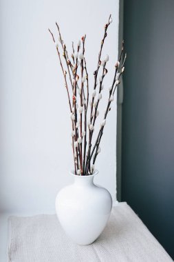 Elegant interior design decor with soft pussy willow branches arranged in a white vase. A close-up photo capturing natural beauty and minimalism, ideal for floral, or contemporary design themes.