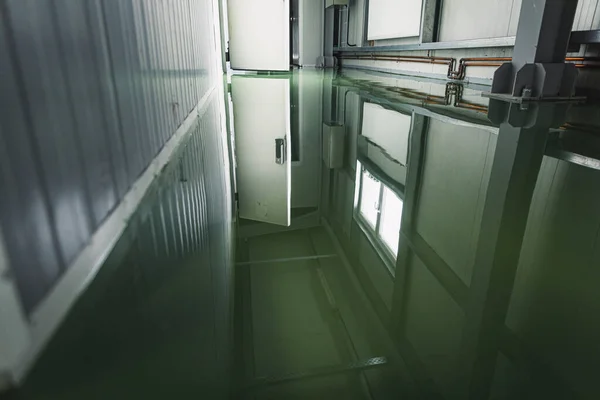 New cold rooms in the butchery industry with green epoxy resin floors