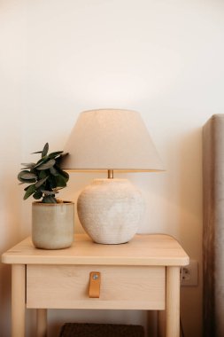 İçinde lamba ve komodinin üzerinde dinlenen bir bitki olan bir kulübede.